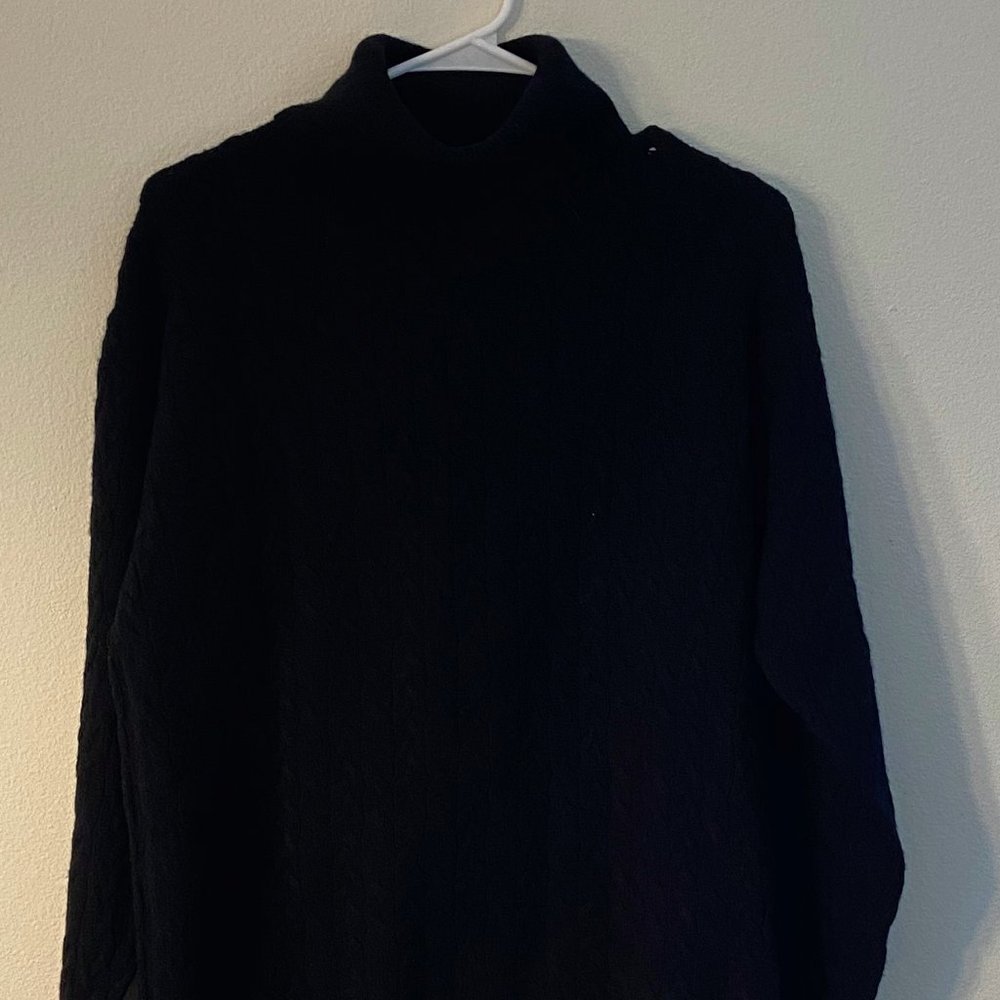 Nordstrom Turtle Neck Sweater